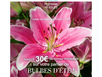 Profitez de 5€ offerts tous les 20€ d’achats sur tous les bulbes d'été jusqu'à mercredi soir ! ⌛