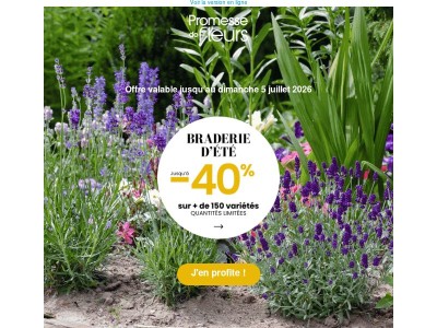 GRANDE BRADERIE DE L’ÉTÉ : jusqu’à -40% sur vos plantes préférées ! ☀️🌿