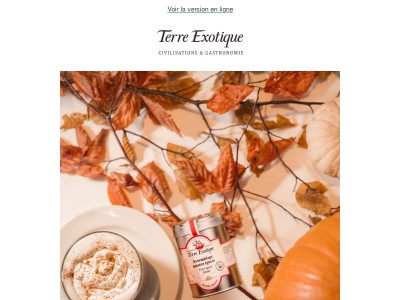 Réchauffez vos journées avec nos boissons d’automne...