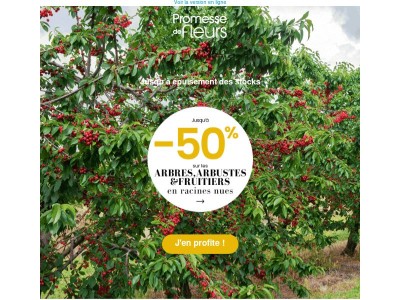 PROMOTION : Jusqu’à -50% sur les arbres et arbustes en racines nues ! 🌿