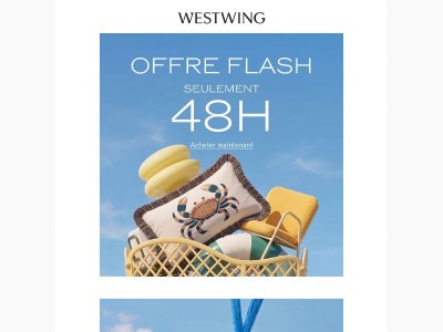⚡ Offre flash seulement 48 h !