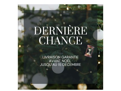 DERNIÈRE CHANCE pour une livraison garantie avant Noël