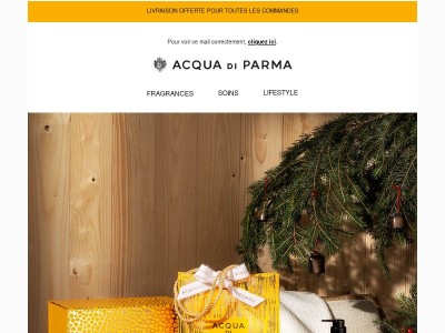 Idées cadeaux pour les fêtes