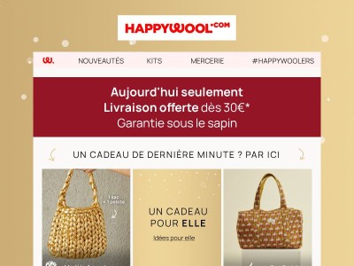 Livraison offerte et garantie sous le 🎄  