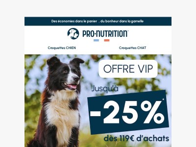 Jusqu'à -25% à ne pas louper !