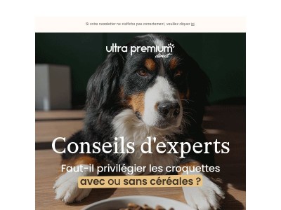 Conseils d'experts | Alimentation avec ou sans céréales ? 🐾