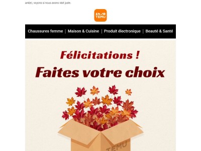 Votre souhait est exaucé – voici l'article.