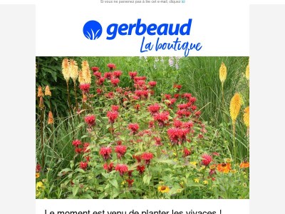 🕜 Il est l'heure de planter les vivaces ! 