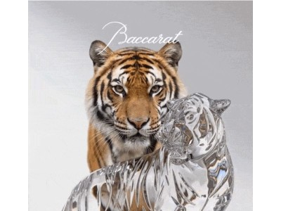 Tigre du Bengale