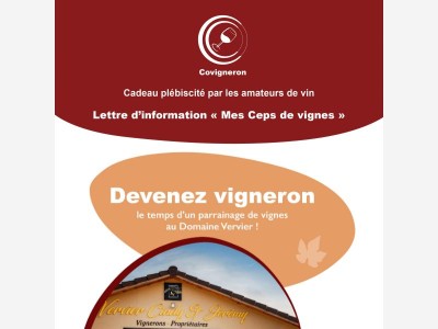 L'accord met vin surprenant avec la Saint-Jacques !