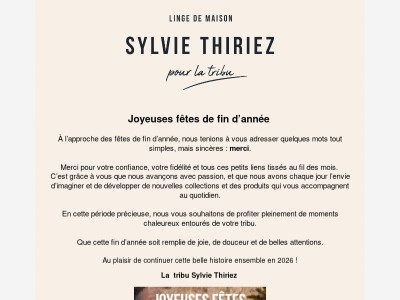 Joyeuses fêtes de fin d'année 🌟