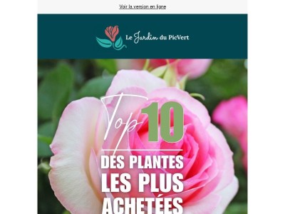 Découvrez le top 10 des plantes les plus achetées cette année !