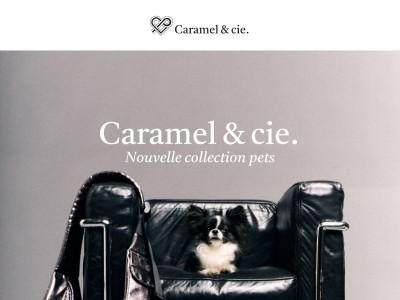 Notre collection pour chiens s'agrandit (en précommande !) 🐶