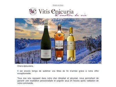 Célébrez les fêtes avec éclat en profitant de nos offres de fin d'année