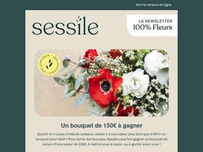 Un bouquet de saison sous le sapin 💐🎄