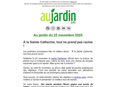 Au jardin du 22 novembre 2025