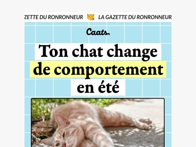Ton chat change en été ? 😼☀️