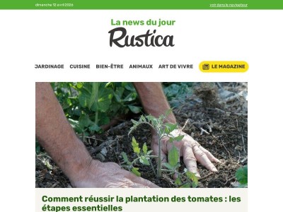 Plantation de tomates : guide complet pour une récolte réussie