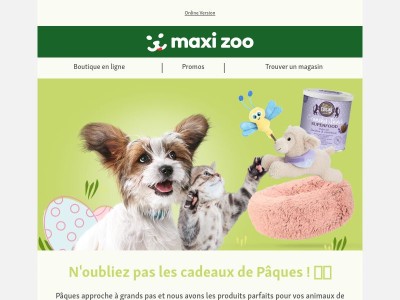 N'oubliez pas les cadeaux de Pâques ! 🐇 🌼