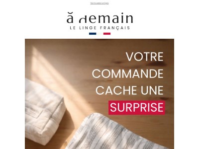 Votre commande vous réserve une surprise… et la livraison est gratuite !