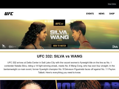 A New Flyweight Champion Will Be Decided
