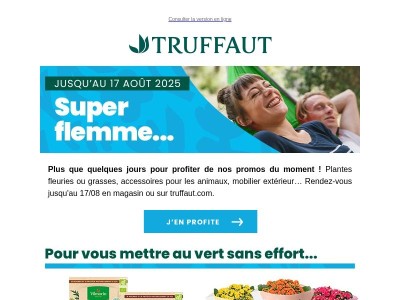 Nos bons plans pour l'été ☀️
