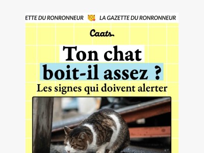 Ton chat boit-il assez ? 🙀