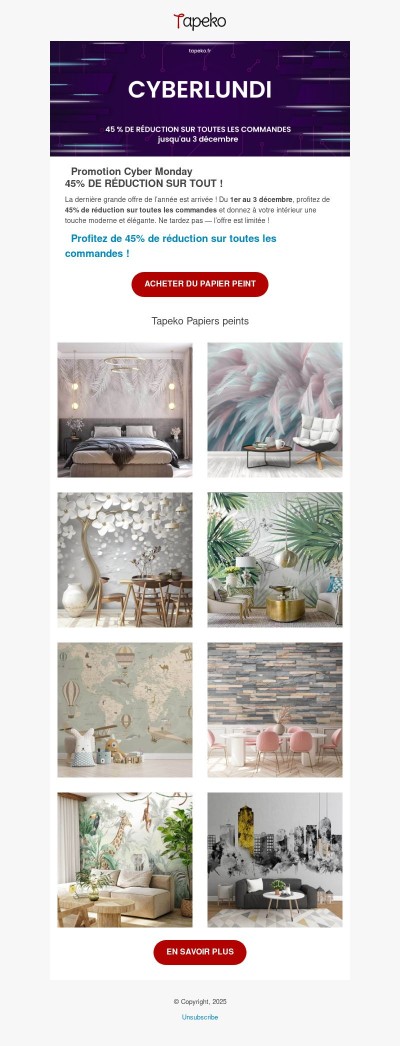 💻 Le Cyber Monday commence maintenant — 45% de réduction sur tout !