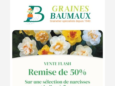 🕔 REMISE de 50% sur une sélection de narcisses et bulbes à fleurs.