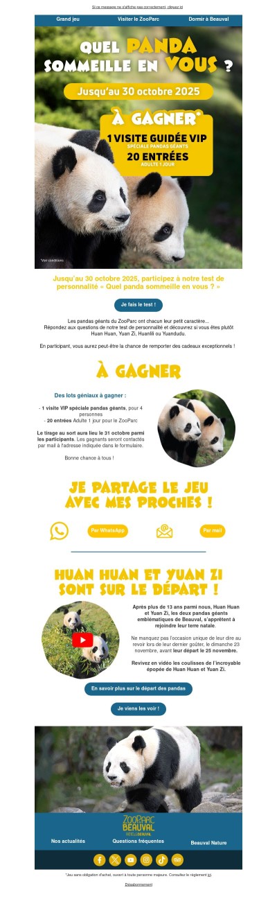 Test de personnalité : quel panda sommeille en vous ? 🐼