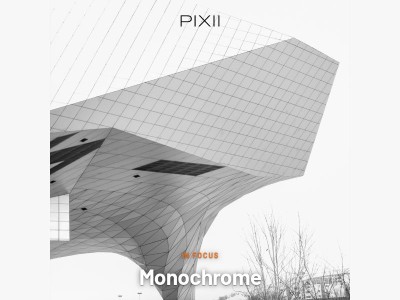 The secret story of the Monochrome Pixii