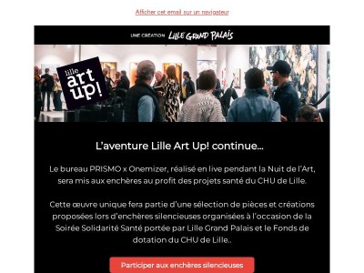 Une œuvre créée à Lille Art Up! mise aux enchères au profit du CHU de Lille