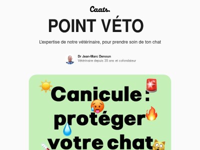 Attention à la chaleur pour ton chat ! 👨‍⚕️