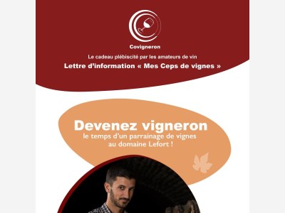 🍷🧀 Fromage & vin : l'accord parfait 