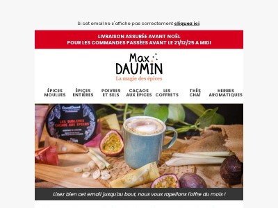 Un cadeau unique : les Sublimes Cacaos aux Épices 🎁🌲