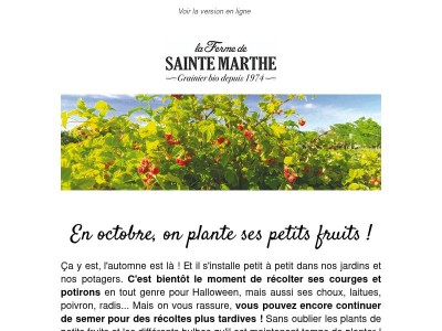 En octobre, on plante ses petits fruits ! 🍓🫐