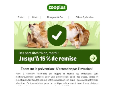 Puces, tiques, canicule... On a la solution (et une promo) !