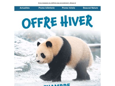 Offres hiver : jusqu'à - 54% ! 🐺