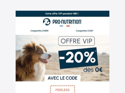 -20% sur tout le site⏱️