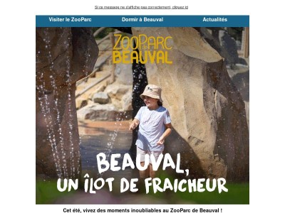 Cet été, cap sur Beauval ! 🐼