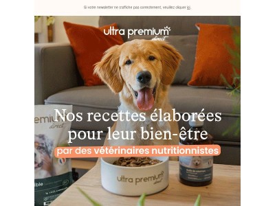 Découvrez ce qu'il y a VRAIMENT dans leurs croquettes 🐾