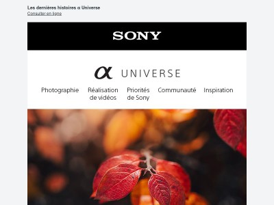 Petites merveilles automnales – Newsletter α Universe 📷