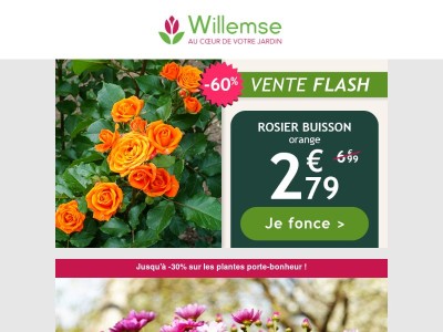 Le Rosier orange à 2,79€ au lieu de 6,99€ !