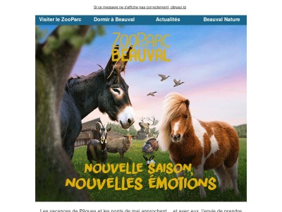 Nouvelle saison à Beauval : vivez des émotions inédites 🐼