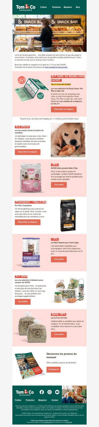 Dernières offres de l’année : plus de friandises, plus d’avantages !