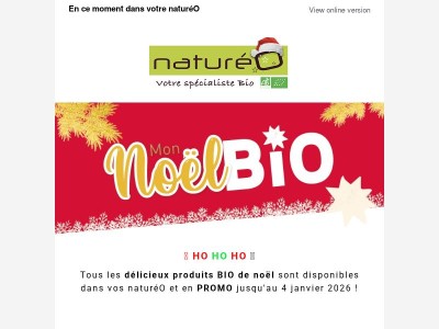 Vos produits festifs BIO en PROMO !