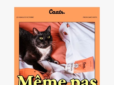 Attention poils hérissés 🙀👻