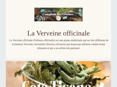 La Verveine officinale