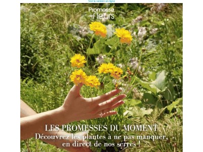Les Promesses du moment révèlent leur plus bel éclat ❤️