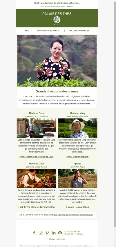 Des femmes de thé 🌱